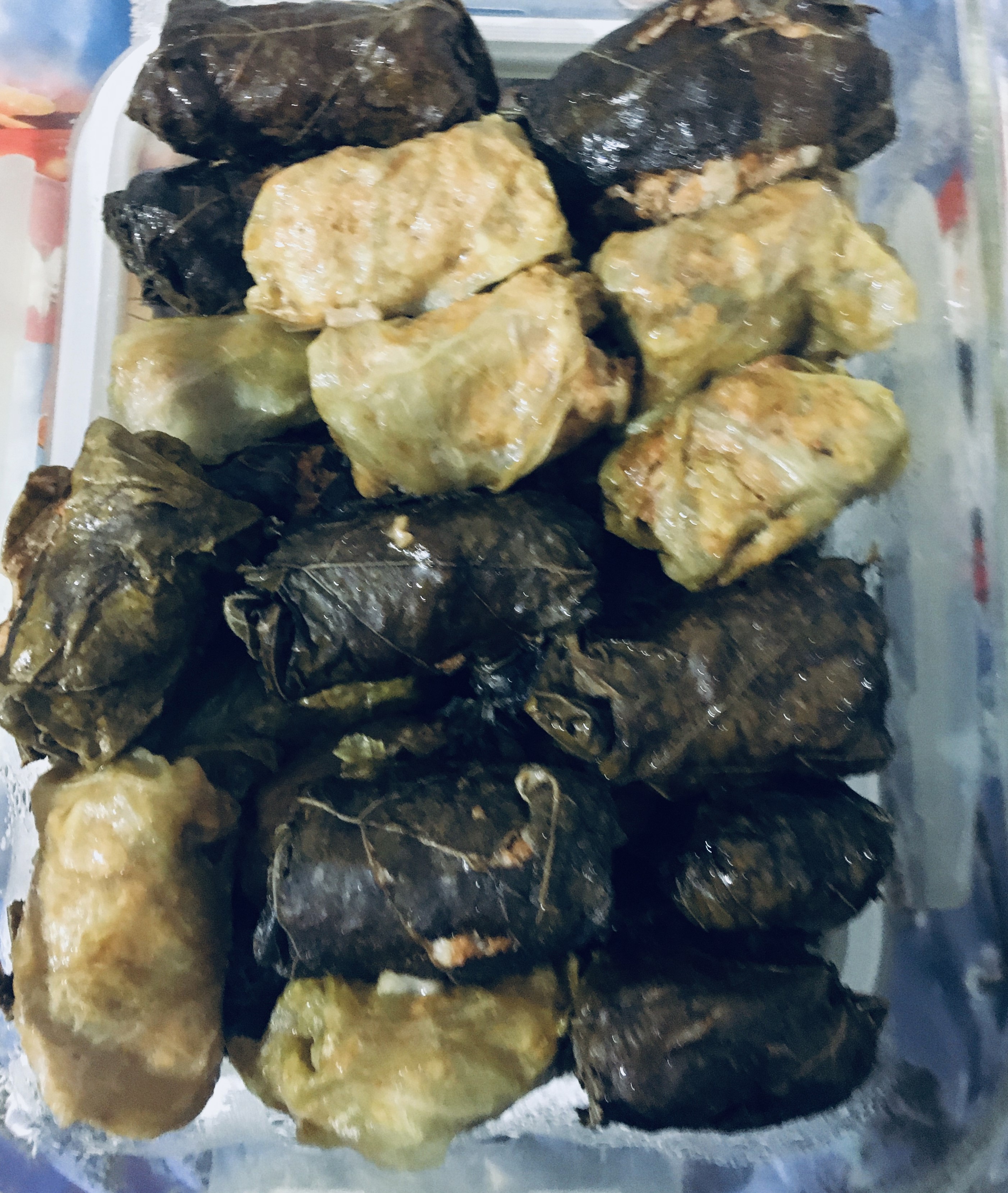 Rolled cabbage and the grape leaves